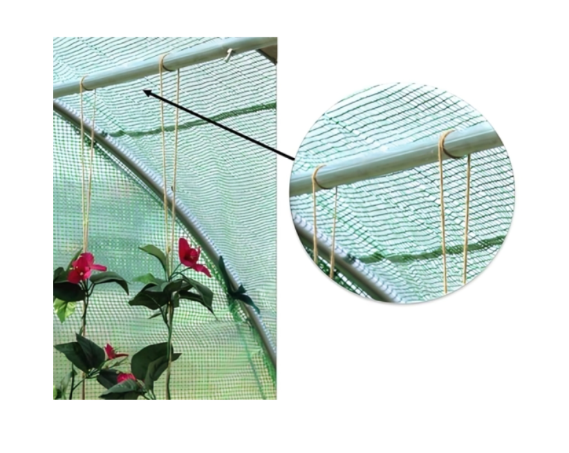 Тунелна Оранжерия 6×3×2 м с 2 врати и 12 прозореца - Image 4